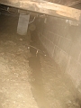 Crawl Space (Mar 15 '07) 005